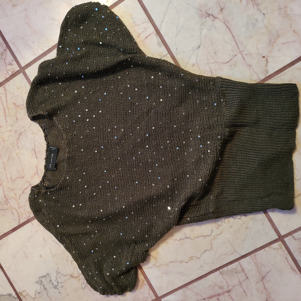 The Limited Dressy shirt.